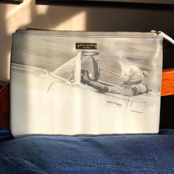 🔥 Kate Spade Small Handbag/Wristlet - Picture 1 of 6